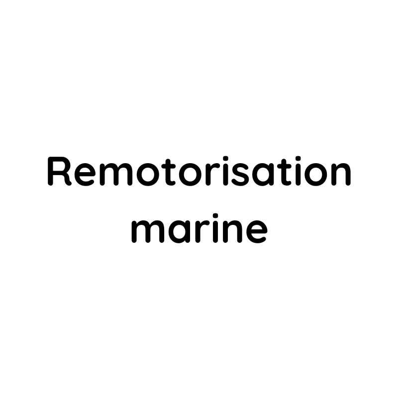 remotorisation marine