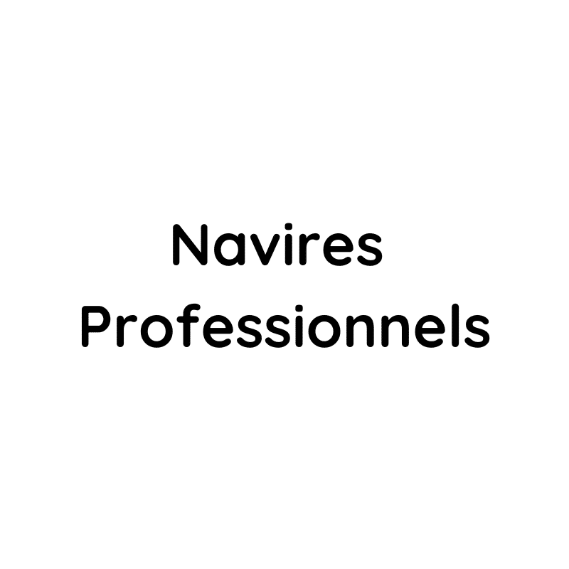 navires professionnels