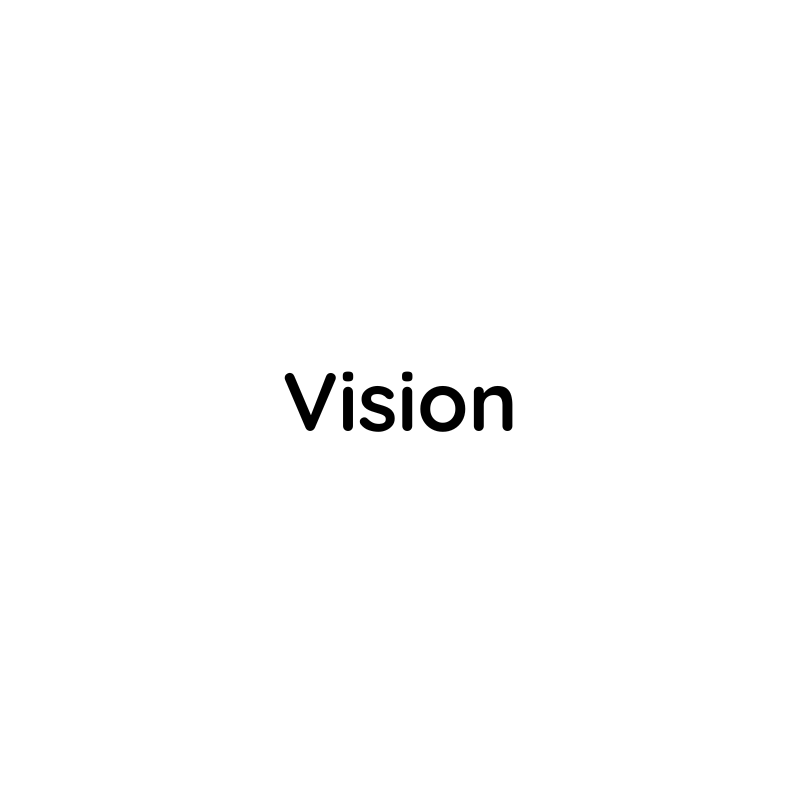 Vision BH Service