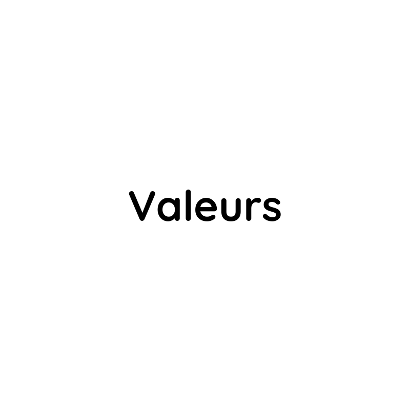 Valeurs BH Service