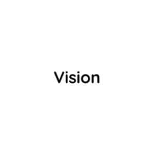 vision-bh-service