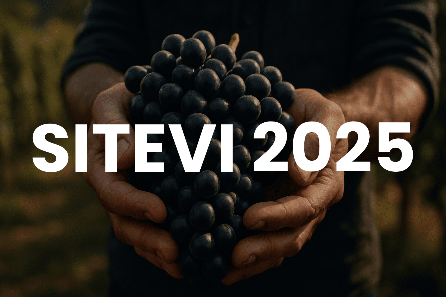 Salon Professionnel Sitevi 2025 Montpellier